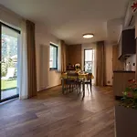 San Martin Holidays - Stay, Work & Fun